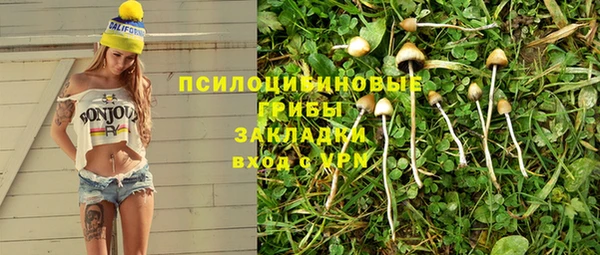 сатива Богданович