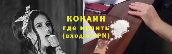 сатива Богданович